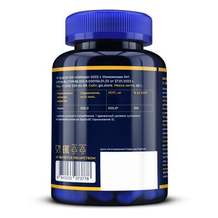 ХОЛИН GLS КАПС., 400МГ, №120