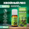 АРОМАКОМПОЗИЦИЯ ЭФИРНЫХ МАСЕЛ ХВОЙНЫЙ ЛЕС УП., 10МЛ